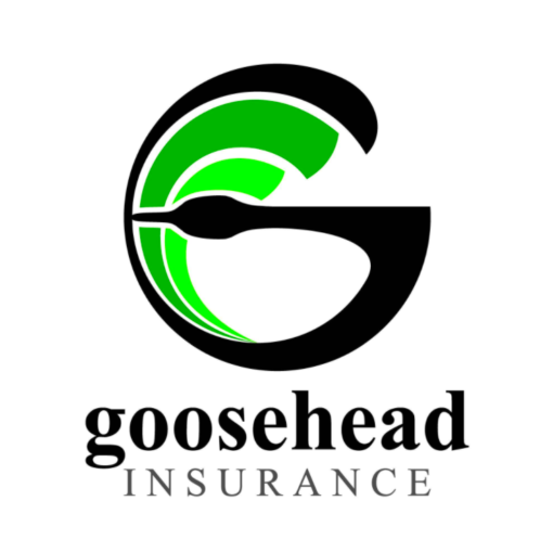 goosehead insurance reviews