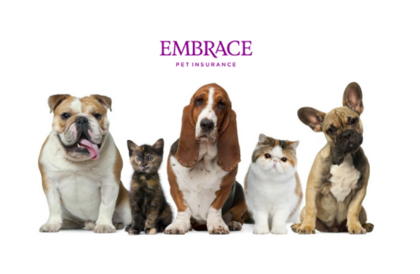 embrace pet insurance 