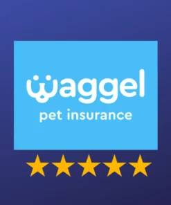 waggle pet insurance reviews