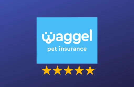 waggle pet insurance reviews