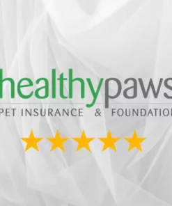 healthy paws pet insurance reviews