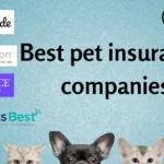 best pet insurance 2023