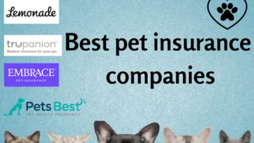 best pet insurance 2023