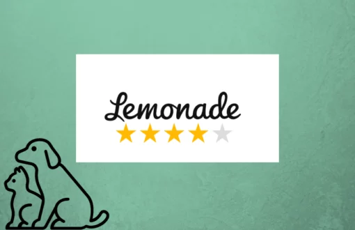 lemonade pet insurance review